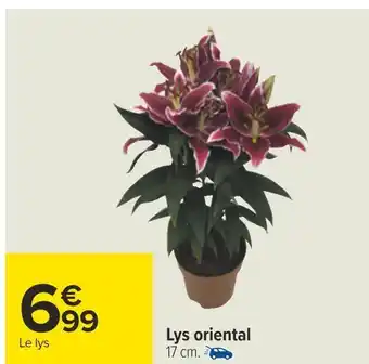 Carrefour Lys oriental offre