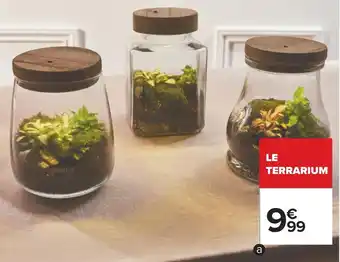 Carrefour Terrarium lumineux offre