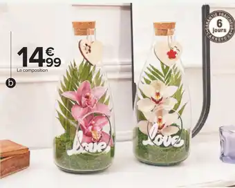 Carrefour Orchidée 2 fleurons terrarium offre