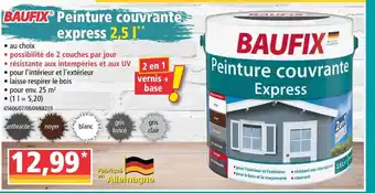 Norma Peinture couvrante express offre
