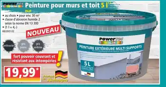 Peinture pour murs et toit