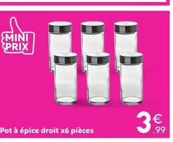 Pot à épice droit x6 piÚces