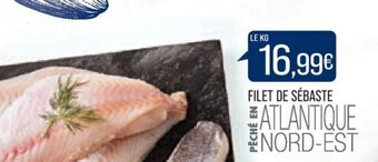 Match FILET DE SÉBASTE offre