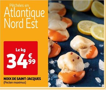 Auchan NOIX DE SAINT-JACQUES (Pecten maximus) offre