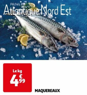 Auchan MAQUEREAUX offre