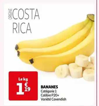 BANANES Catégorie 1 Calibre P20+ Variété Cavendish