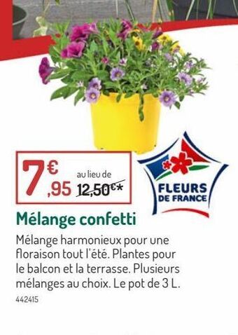 Mélange confetti