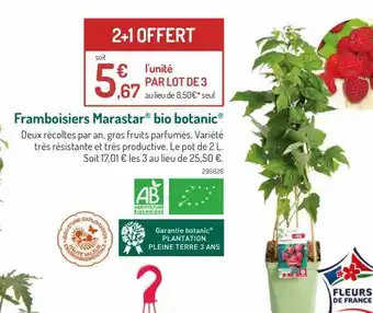 Botanic Framboisiers marastar bio botanic offre