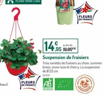 Botanic Suspension de fraisiers offre