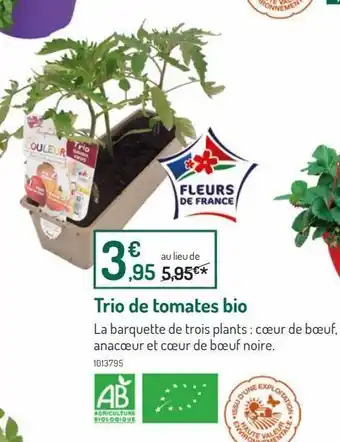 Botanic Trio de tomates bio offre