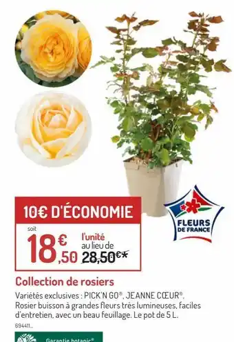 Botanic Collection de rosiers offre