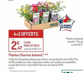 Botanic Plantes fleuries botanic offre