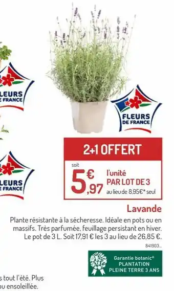 Botanic Lavande offre