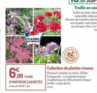 Botanic Collection de plantes vivaces offre