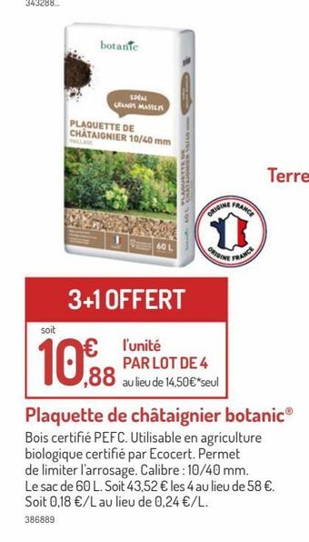 Plaquette de chataignier botanic