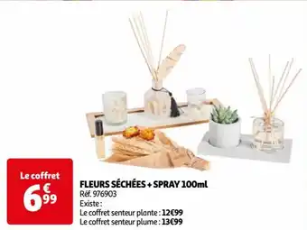 Auchan FLEURS SÉCHÉES + SPRAY 100ml Réf. 976903 offre