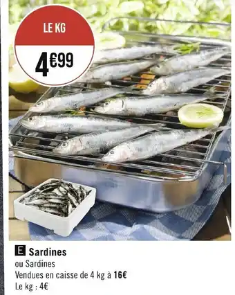 Sardines