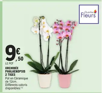 E.Leclerc ORCHIDÉE PHALAENOPSIS 2 TIGES offre
