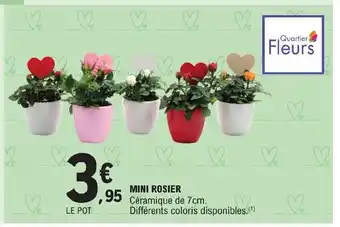 E.Leclerc MINI ROSIER Céramique de 7cm. offre