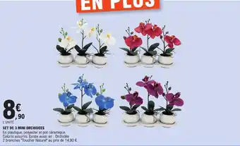 E.Leclerc SET DE 3 MINI ORCHIDEES offre