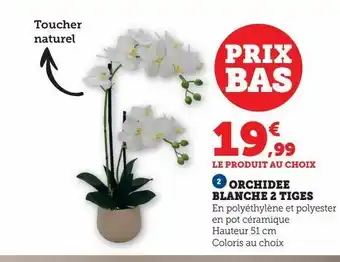 Super U Orchidee blanche 2 tiges offre