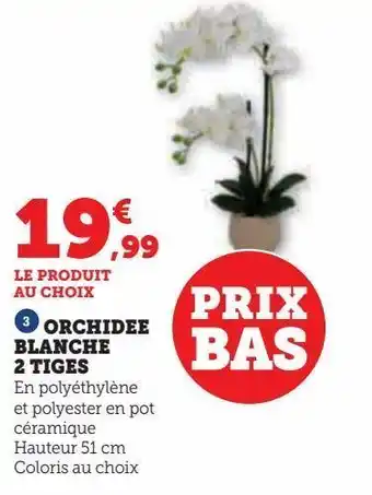Hyper U Orchidee blanche 2 tiges offre