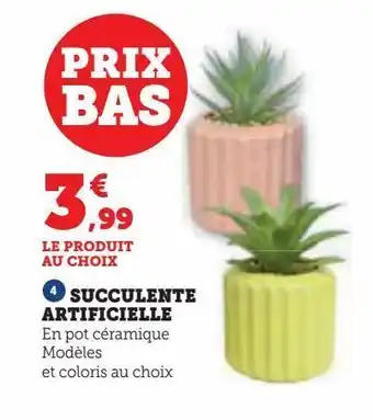 Hyper U Succulente artificielle offre