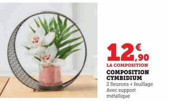 Hyper U Composition cymbidium offre