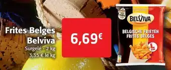 Frites belges belviva