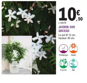 E.Leclerc Jardi JASMIN SUR ARCEAU offre