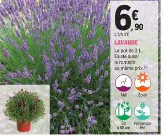 E.Leclerc Jardi LAVANDE offre