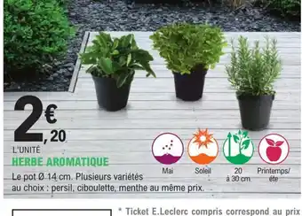 HERBE AROMATIQUE