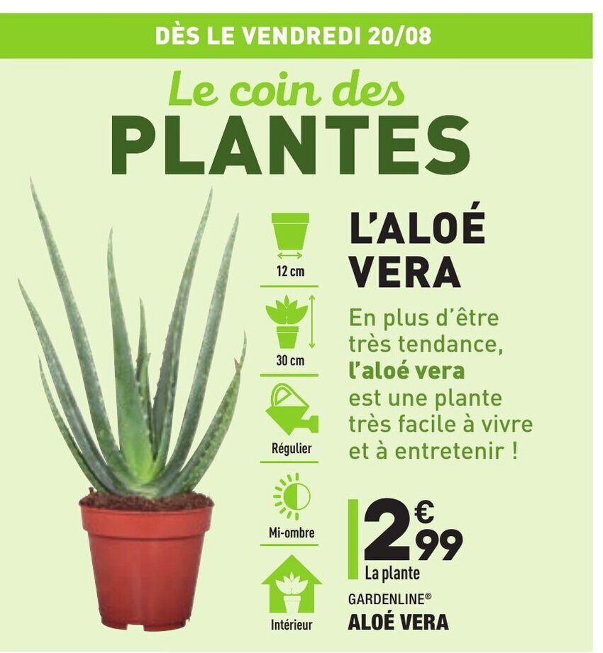 Promo Aloé vera chez ALDI