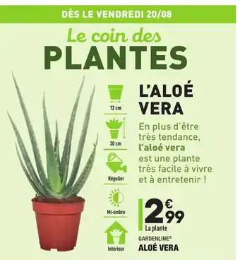 ALDI Aloé vera offre