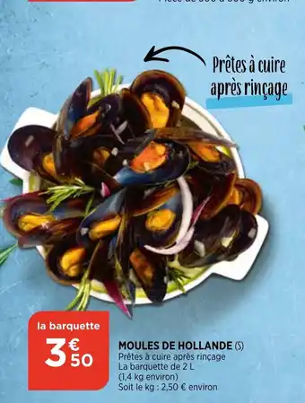 Bi1 Moules de hollande offre