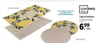 Lidl Tapis d'extérieur offre