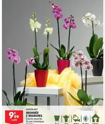 ALDI ORCHIDÉE 2 BRANCHES Coloris assortis. En pot céramique. Réf. 0453 offre