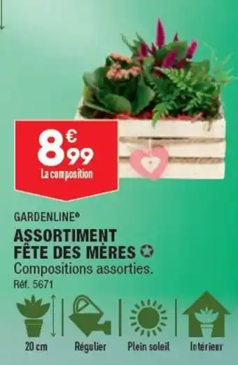 ALDI GARDENLINE ASSORTIMENT FÊTE DES MÈRES Compositions assorties. offre