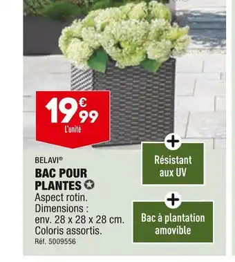 ALDI Belavi bac pour plantes offre