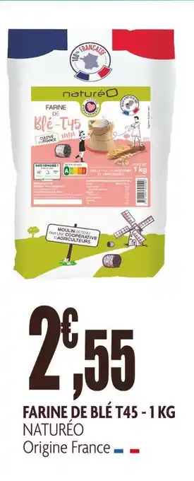 Naturéo farine de blé t45