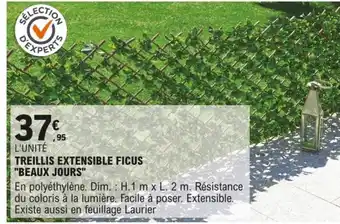 E.Leclerc Brico TREILLIS EXTENSIBLE FICUS "BEAUX JOURS" offre