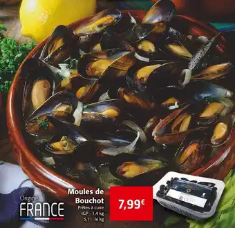 Moules de bouchot
