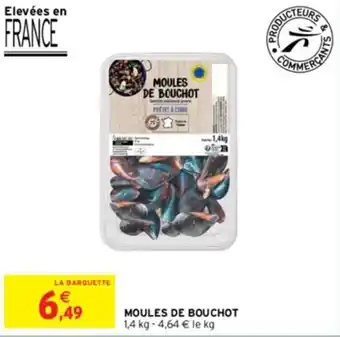 MOULES DE BOUCHOT