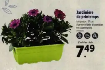 Lidl Jardinière de printemps offre