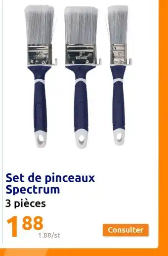 Set de pinceaux Spectrum