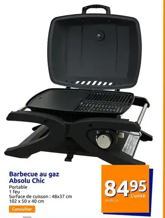 Barbecue au gaz Absolu Chic