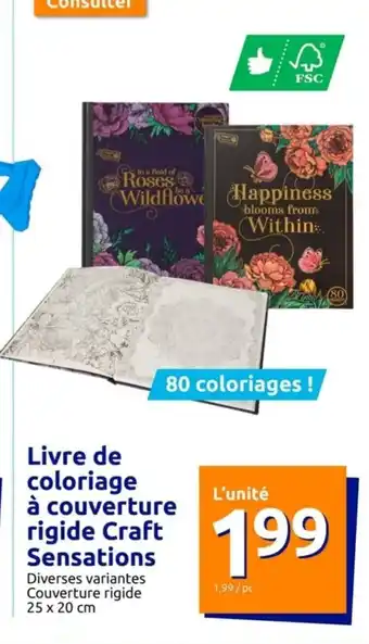 Action Livre de coloriage à couverture rigide Craft Sensations offre