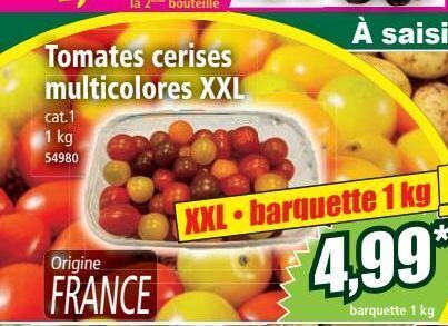 Norma Tomate cerise multicolores xxl offre