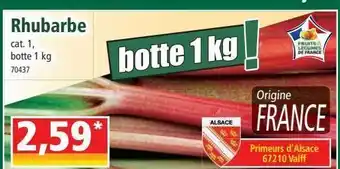 Norma Rhubarbe offre