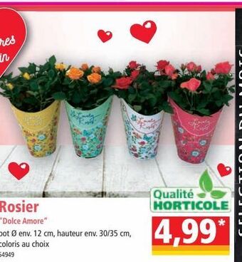Norma Rosiers offre